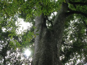 2013-05-18 15.34.14