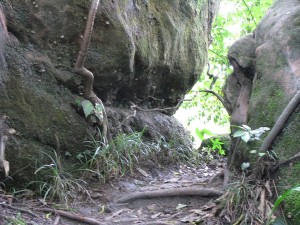 2013-05-18 16.33.11