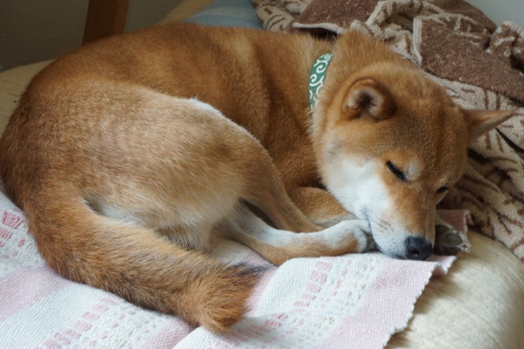 コジロー
