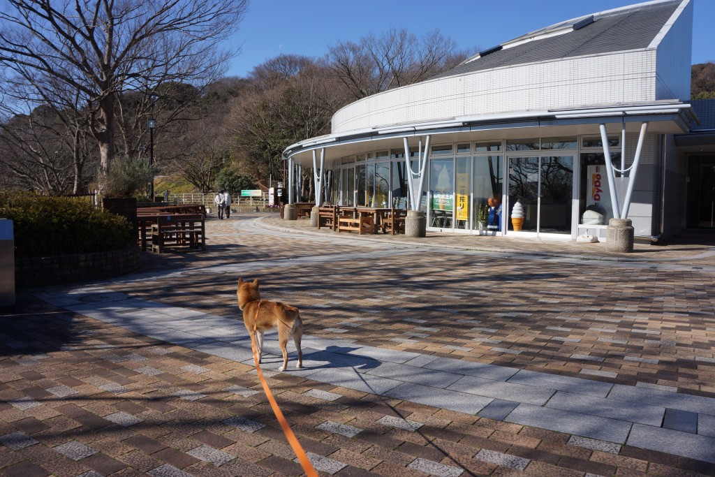 金沢動物公園