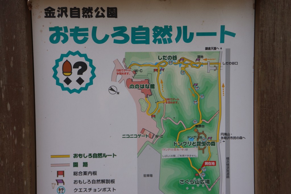 DSC01984