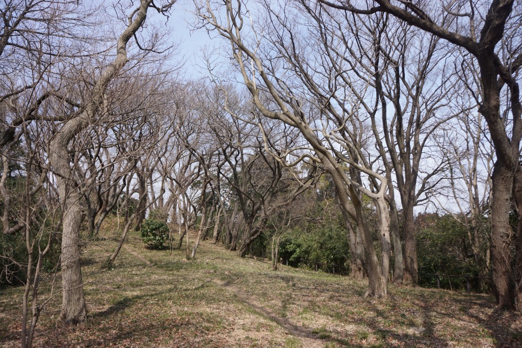 DSC01994